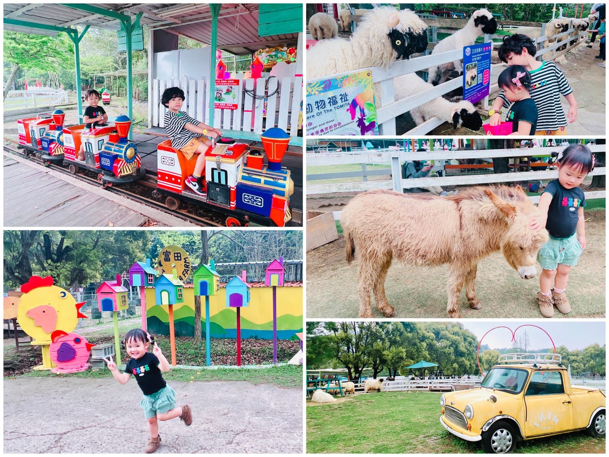 ★桃園親子農場推薦★『 富田花園農場 』近距離互動餵食可愛動