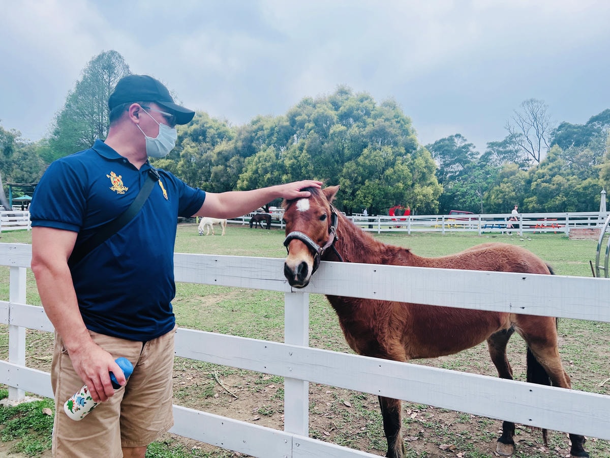 ★桃園親子農場推薦★『 富田花園農場 』近距離互動餵食可愛動 ★桃園親子農場推薦★『 富田花園農場 』近距離互動餵食可愛動
