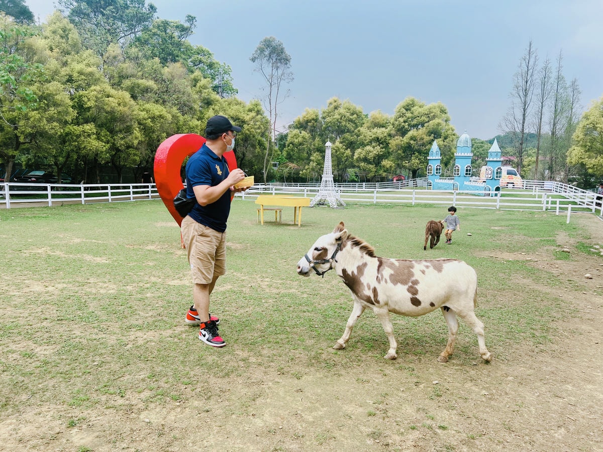 ★桃園親子農場推薦★『 富田花園農場 』近距離互動餵食可愛動 ★桃園親子農場推薦★『 富田花園農場 』近距離互動餵食可愛動