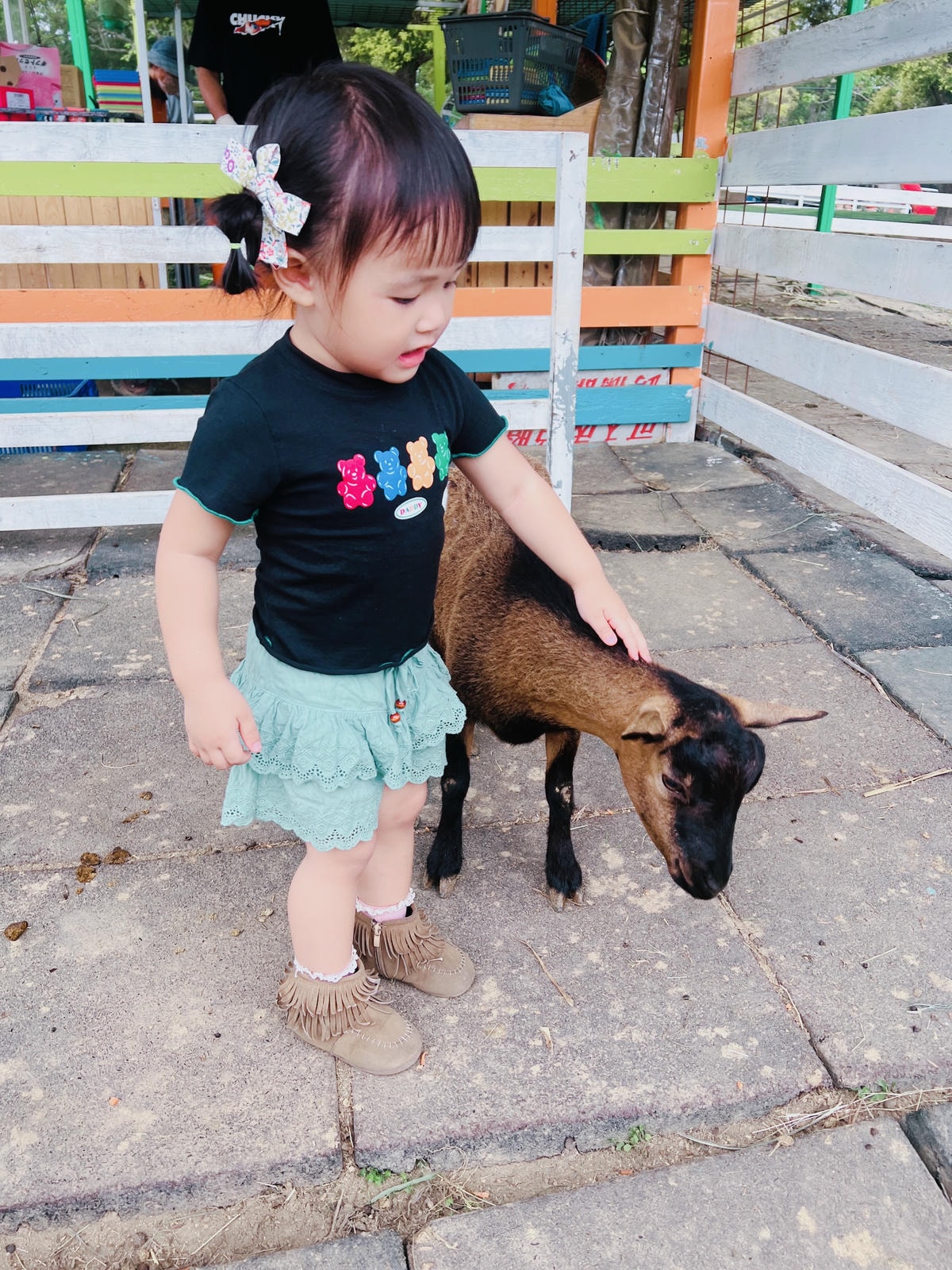 ★桃園親子農場推薦★『 富田花園農場 』近距離互動餵食可愛動 ★桃園親子農場推薦★『 富田花園農場 』近距離互動餵食可愛動