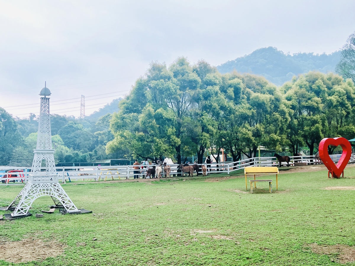 ★桃園親子農場推薦★『 富田花園農場 』近距離互動餵食可愛動 ★桃園親子農場推薦★『 富田花園農場 』近距離互動餵食可愛動