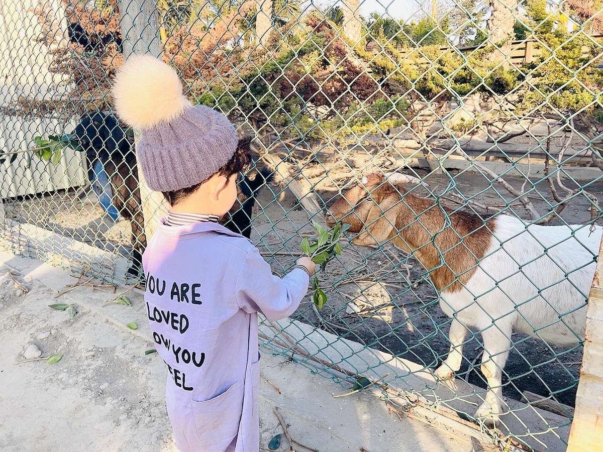 ★彰化●欣蝶園親子休閒農場*假日限定,六歲以下免費入園,還有 ★彰化●欣蝶園親子休閒農場*假日限定,六歲以下免費入園,還有