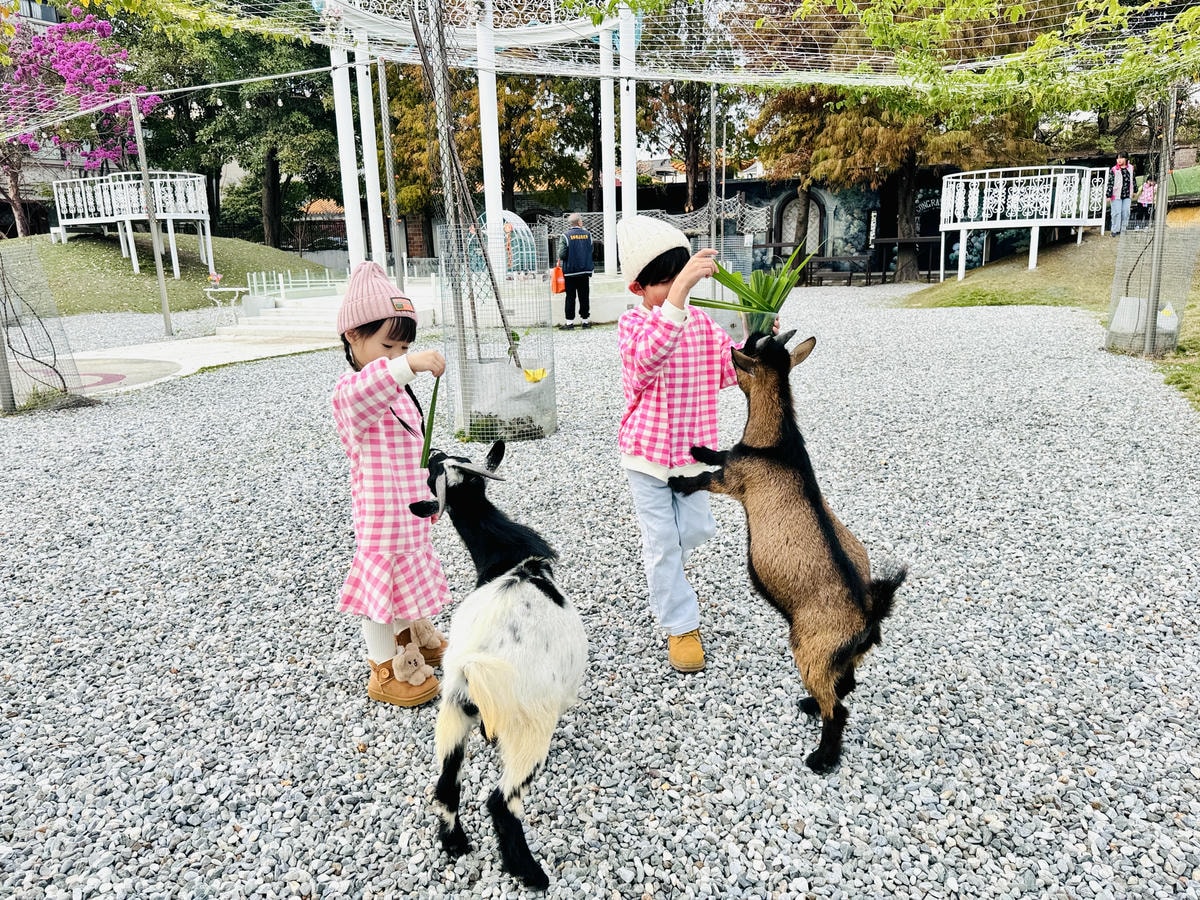 ★彰化親子景點推薦★『琉璃仙境』美照戲水放電一把抓