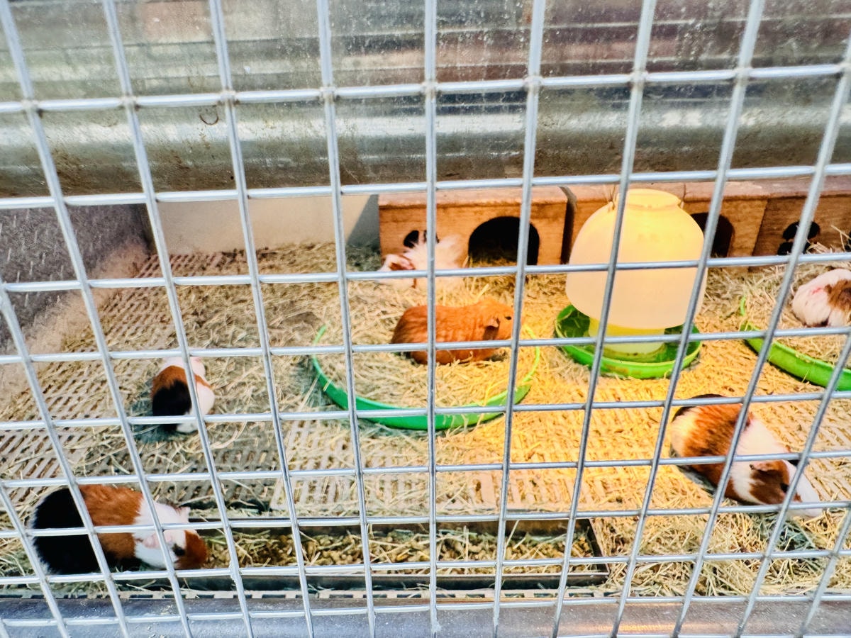 ★彰化親子景點推薦★『琉璃仙境』美照戲水放電一把抓