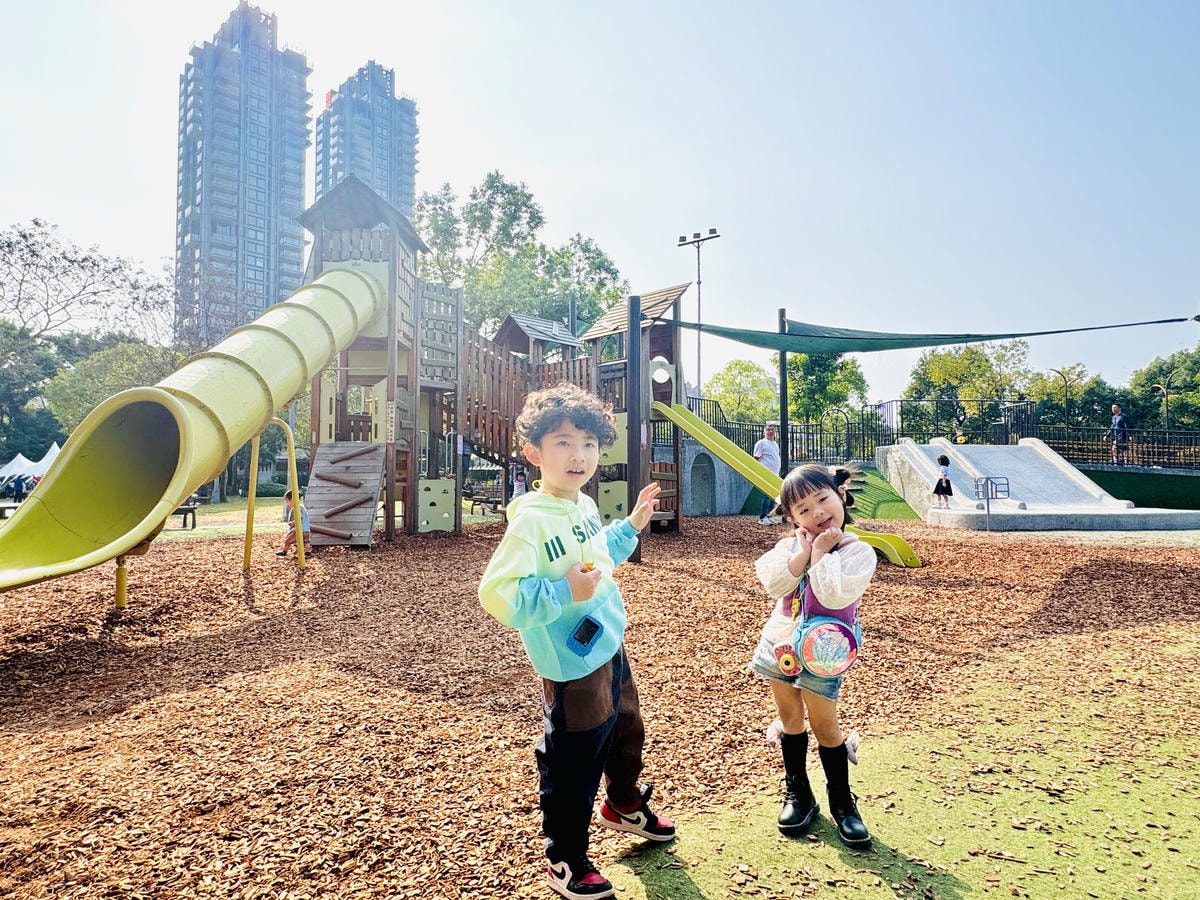 ★台北●大安區★隱藏在大安森林公園內的『森林之王兒童遊戲場』