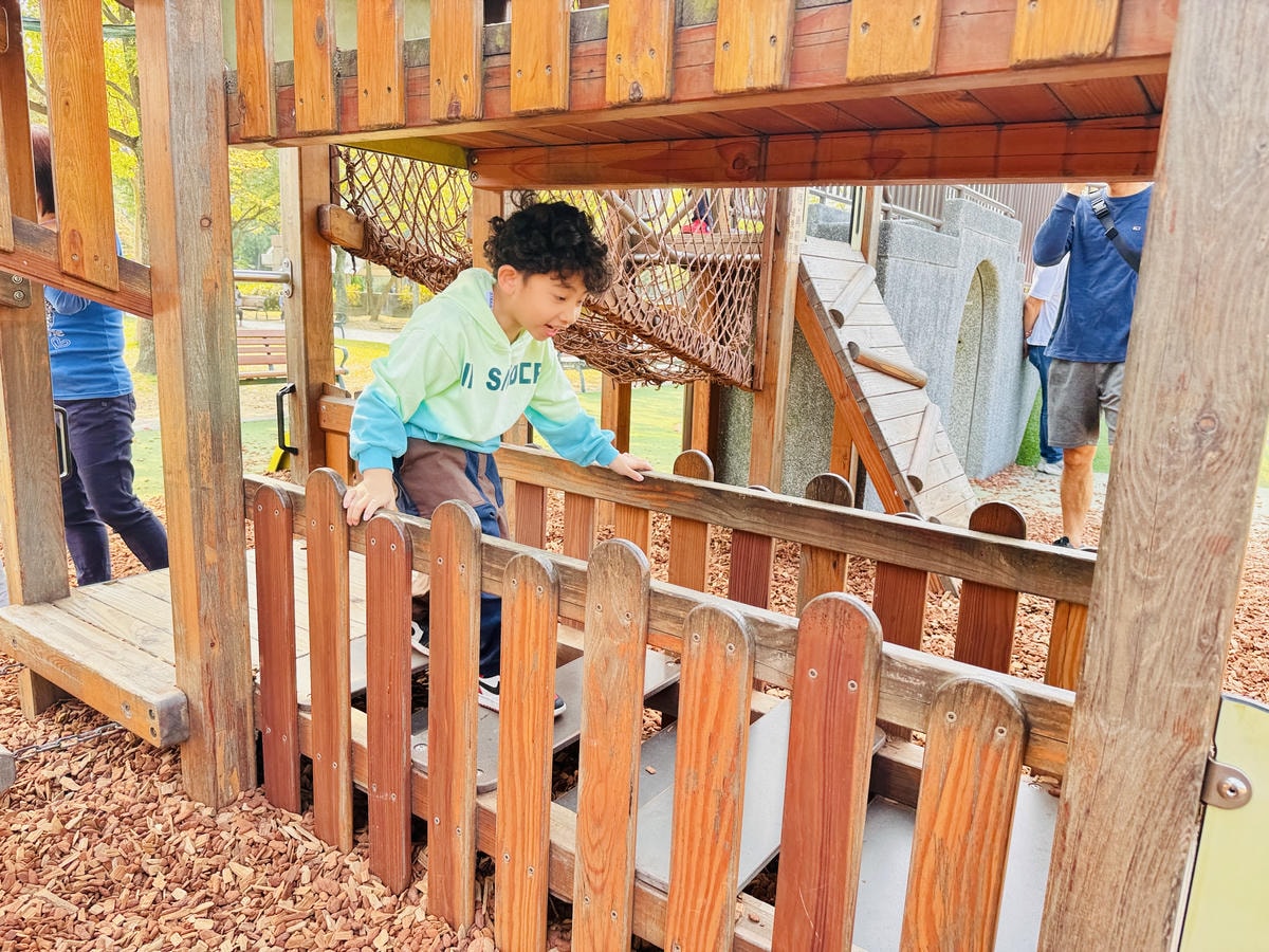 ★台北●大安區★隱藏在大安森林公園內的『森林之王兒童遊戲場』