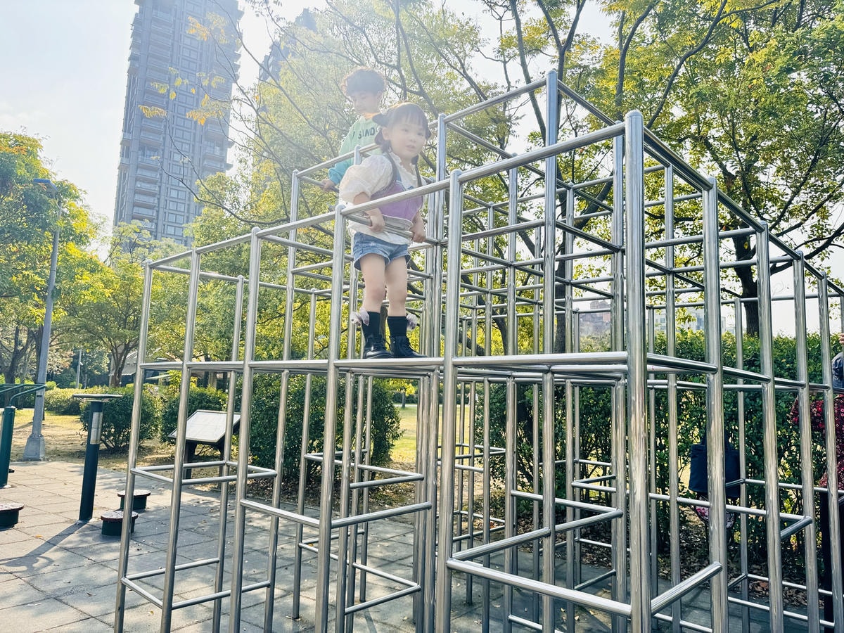 ★台北●大安區★隱藏在大安森林公園內的『森林之王兒童遊戲場』