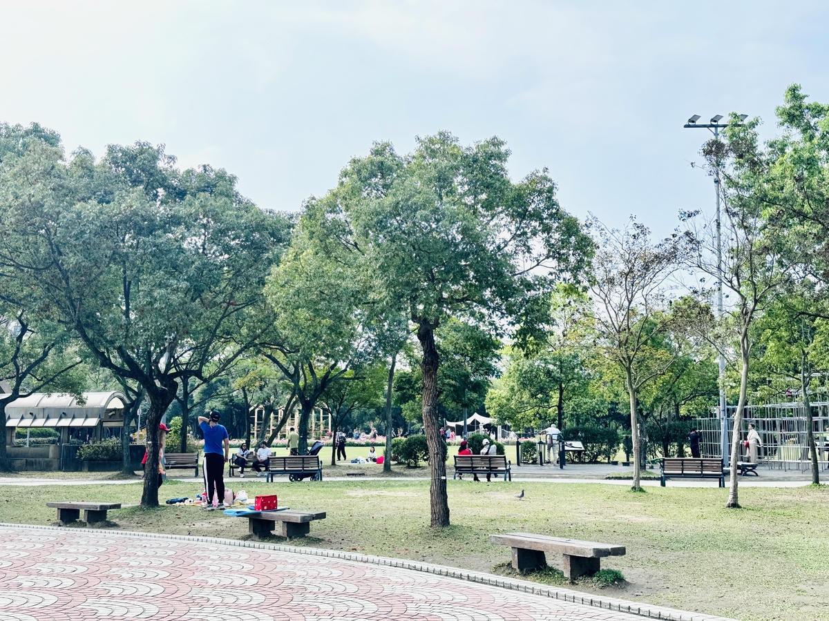 ★台北●大安區★隱藏在大安森林公園內的『森林之王兒童遊戲場』