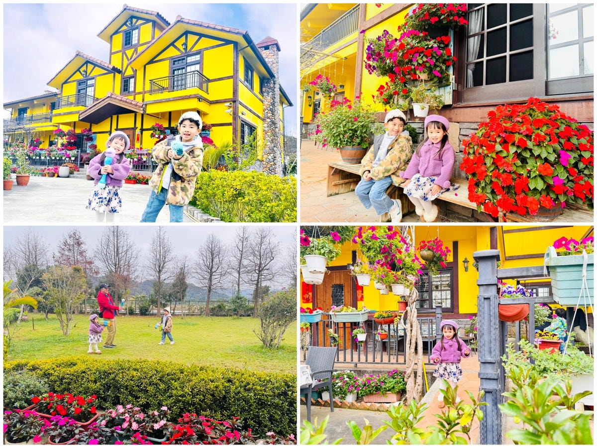 ★桃園●大溪*一秒到南法偽出國『黃色小屋 咖啡莊園』,亮眼的