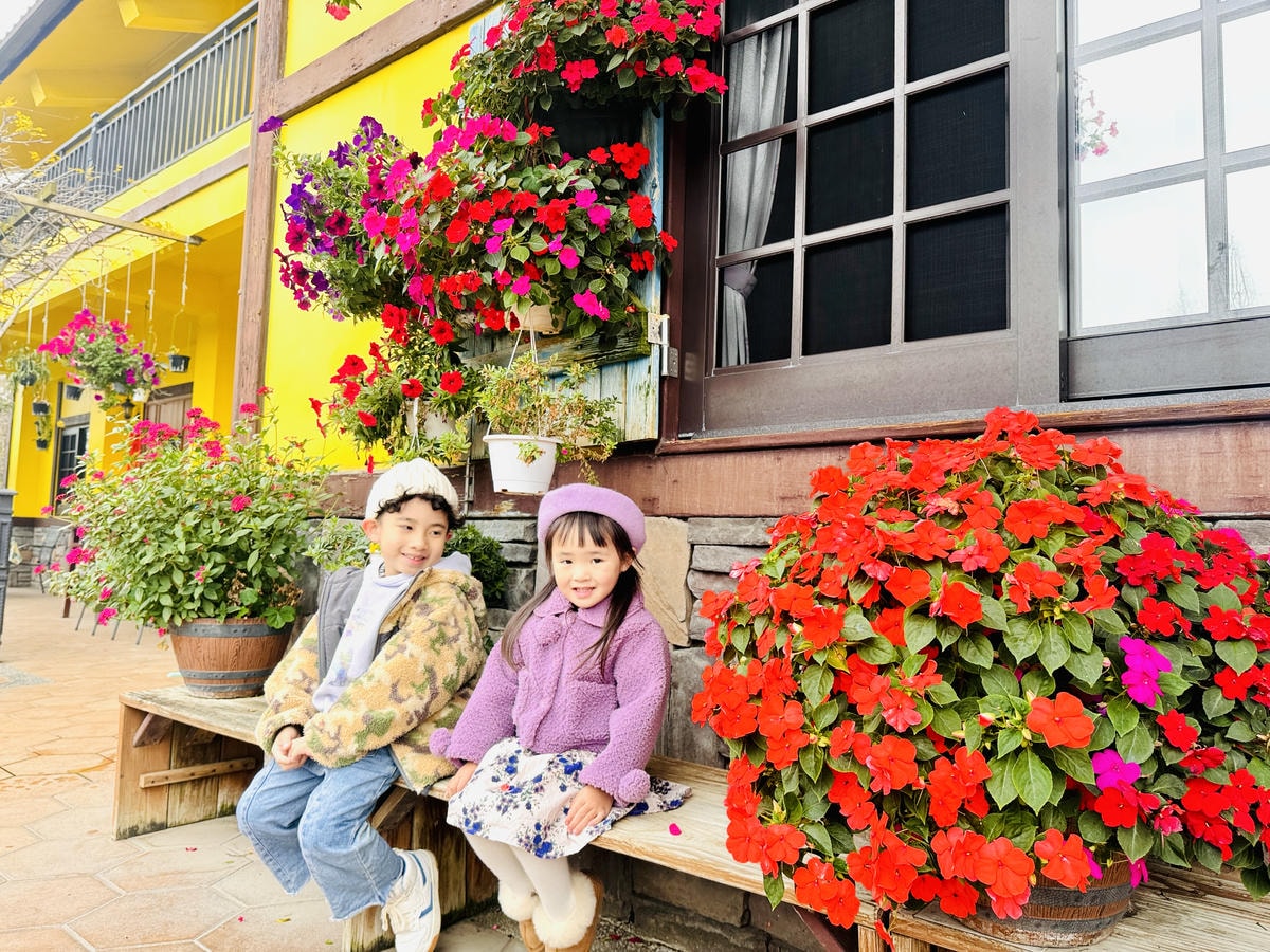 ★桃園●大溪*一秒到南法偽出國『黃色小屋 咖啡莊園』,亮眼的 ★桃園●大溪*一秒到南法偽出國『黃色小屋 咖啡莊園』,亮眼的