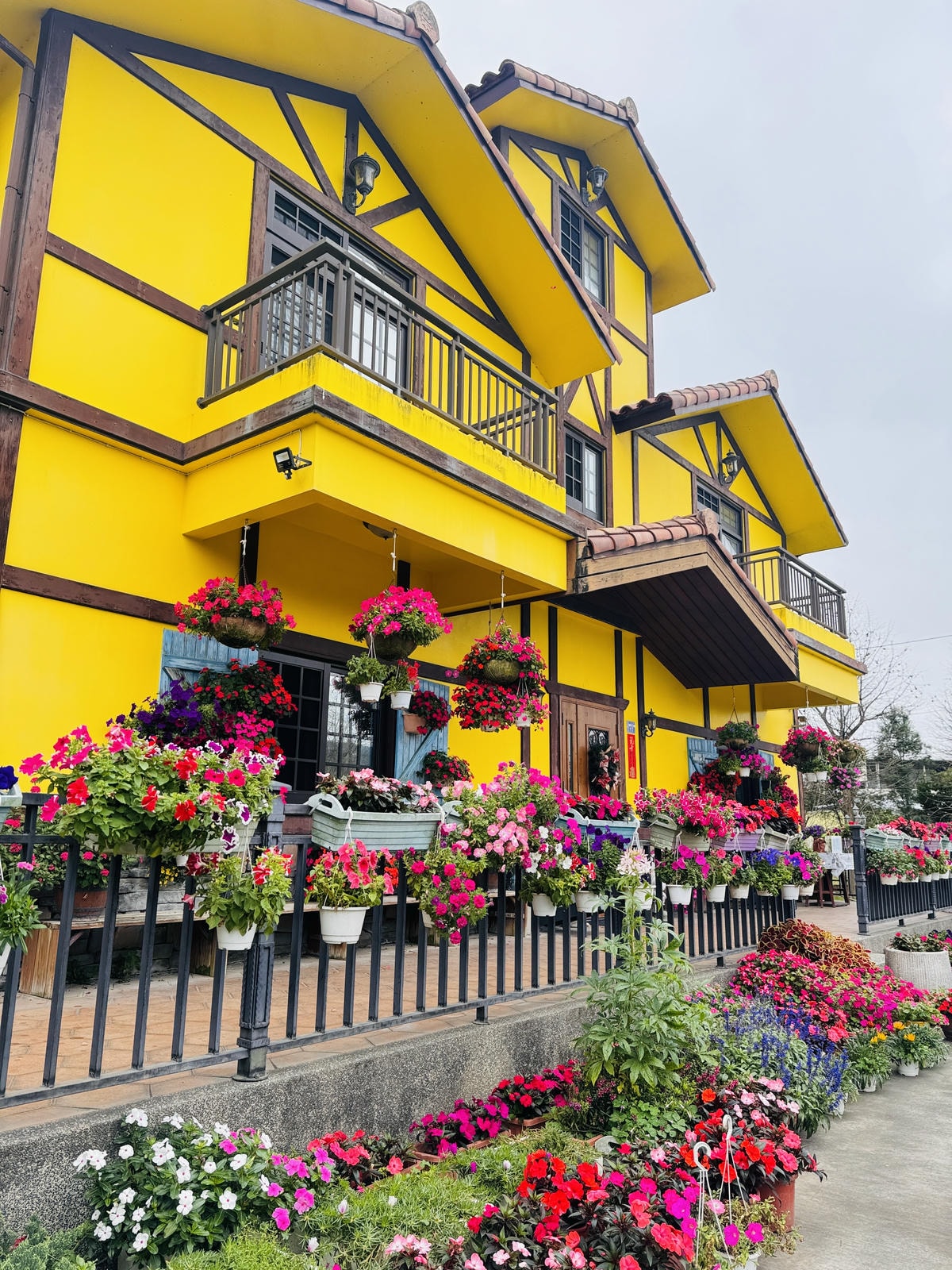 ★桃園●大溪*一秒到南法偽出國『黃色小屋 咖啡莊園』,亮眼的 ★桃園●大溪*一秒到南法偽出國『黃色小屋 咖啡莊園』,亮眼的