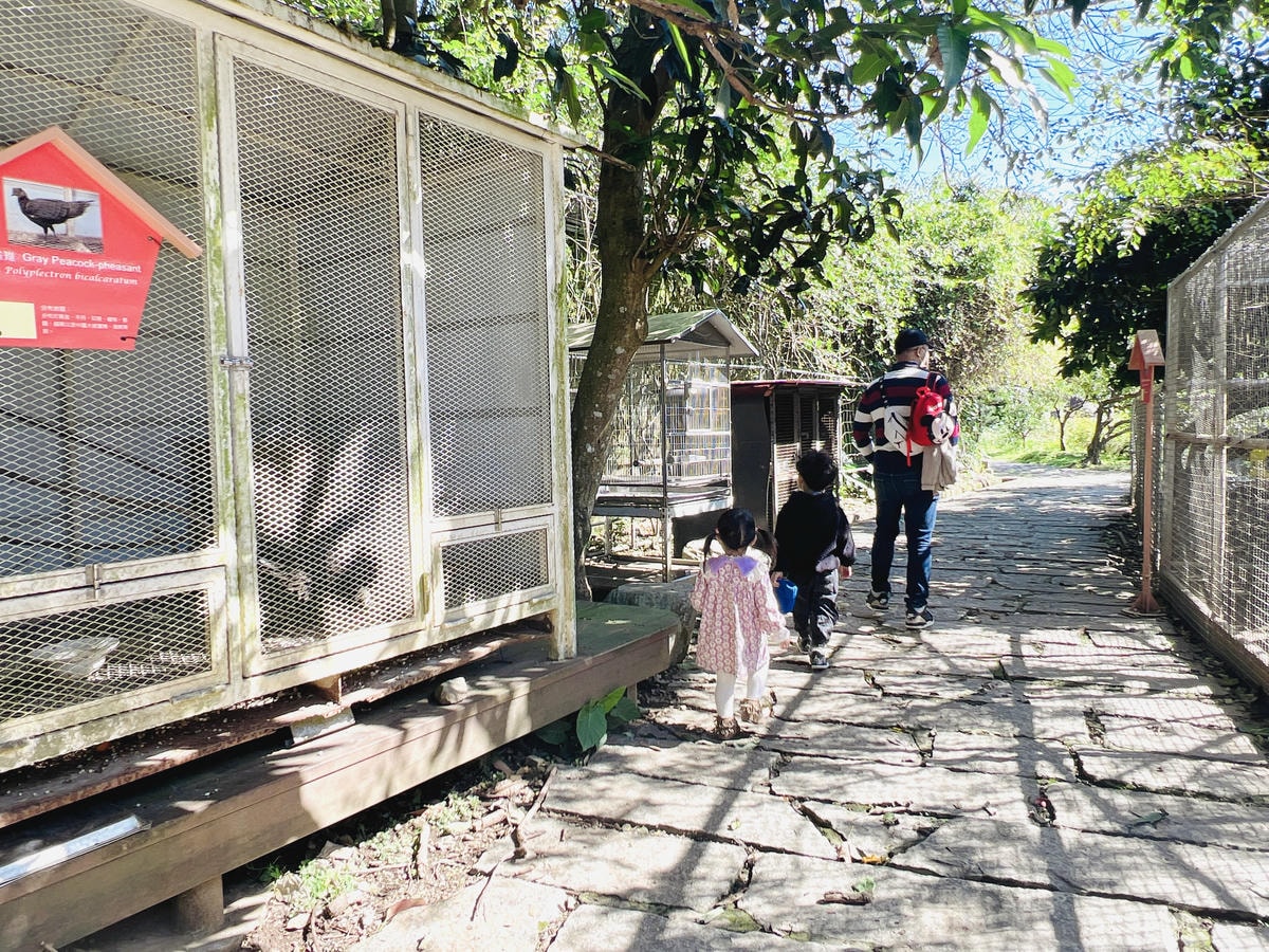 ★桃園●大溪*一秒偽出國,異國風『蘇家莊園』,迷你版動物園還 ★桃園●大溪*一秒偽出國,異國風『蘇家莊園』,迷你版動物園還