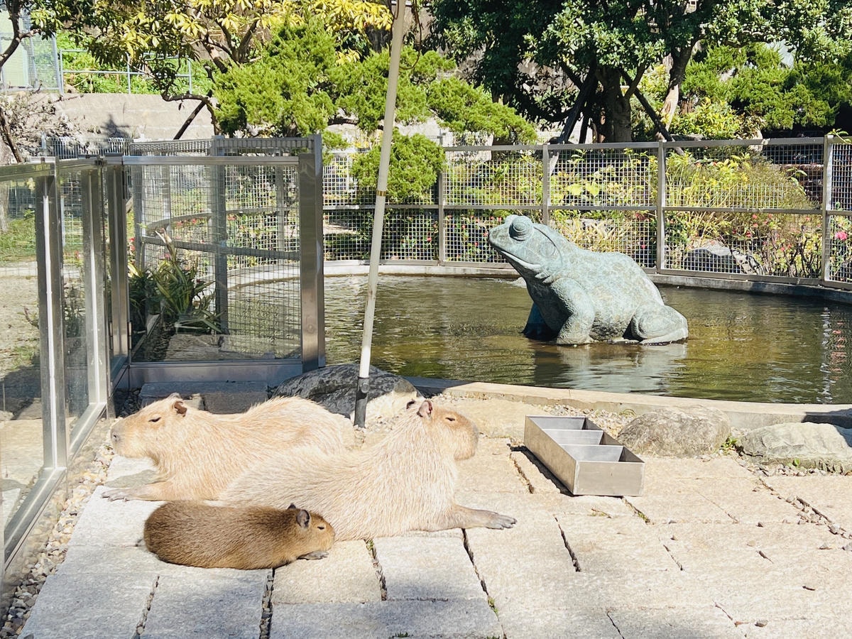 ★桃園●大溪*一秒偽出國,異國風『蘇家莊園』,迷你版動物園還 ★桃園●大溪*一秒偽出國,異國風『蘇家莊園』,迷你版動物園還