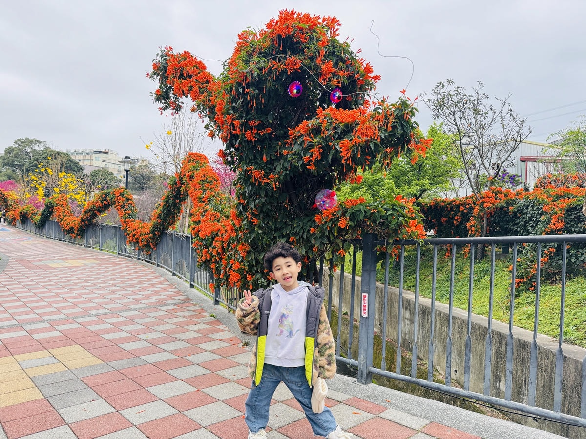 ★新北●鶯歌*最美拍的『鶯歌永吉公園』,擁有雙色櫻花、炮仗花 ★新北●鶯歌*最美拍的『鶯歌永吉公園』,擁有雙色櫻花、炮仗花