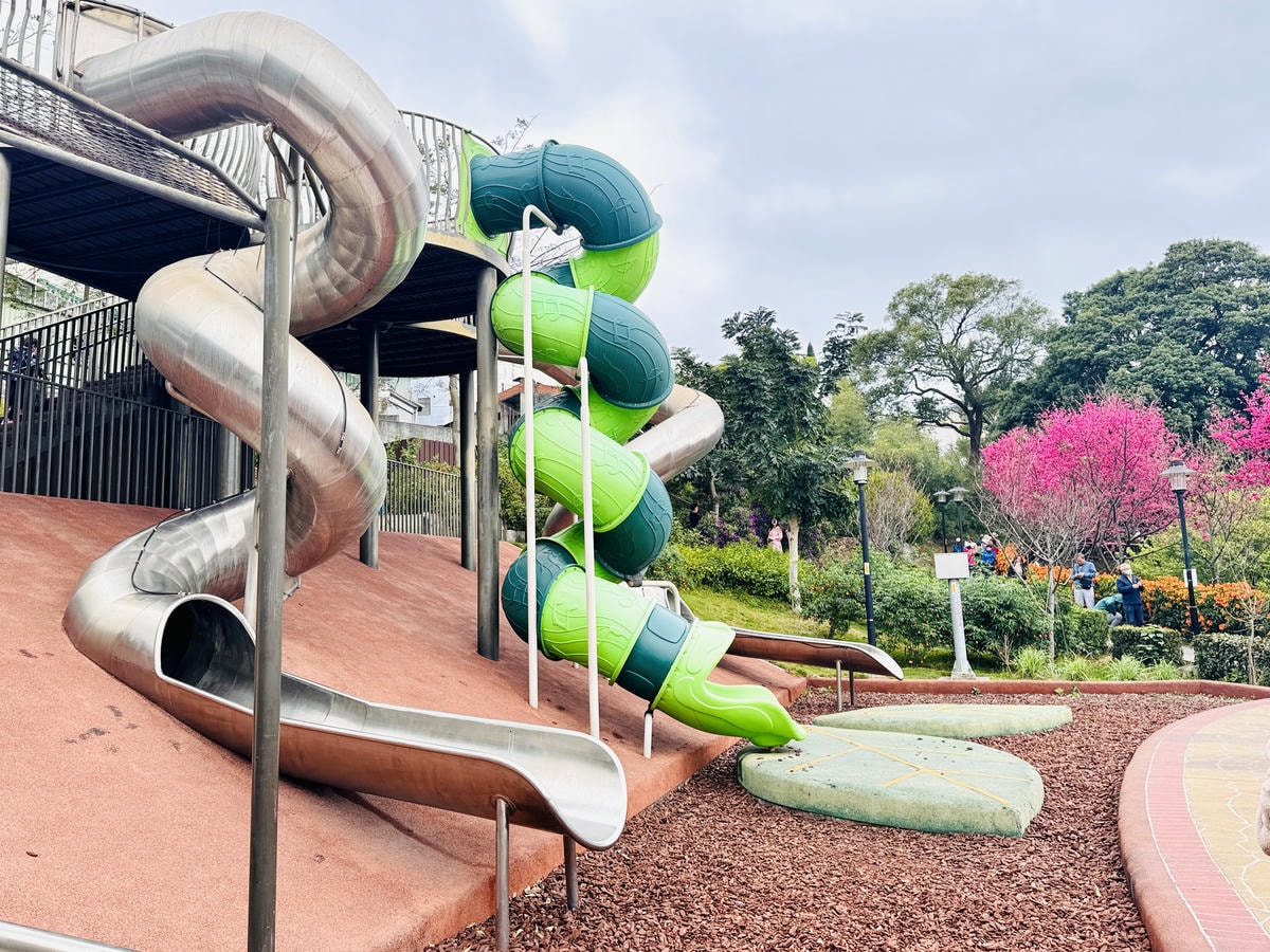 ★新北●鶯歌*最美拍的『鶯歌永吉公園』,擁有雙色櫻花、炮仗花 ★新北●鶯歌*最美拍的『鶯歌永吉公園』,擁有雙色櫻花、炮仗花