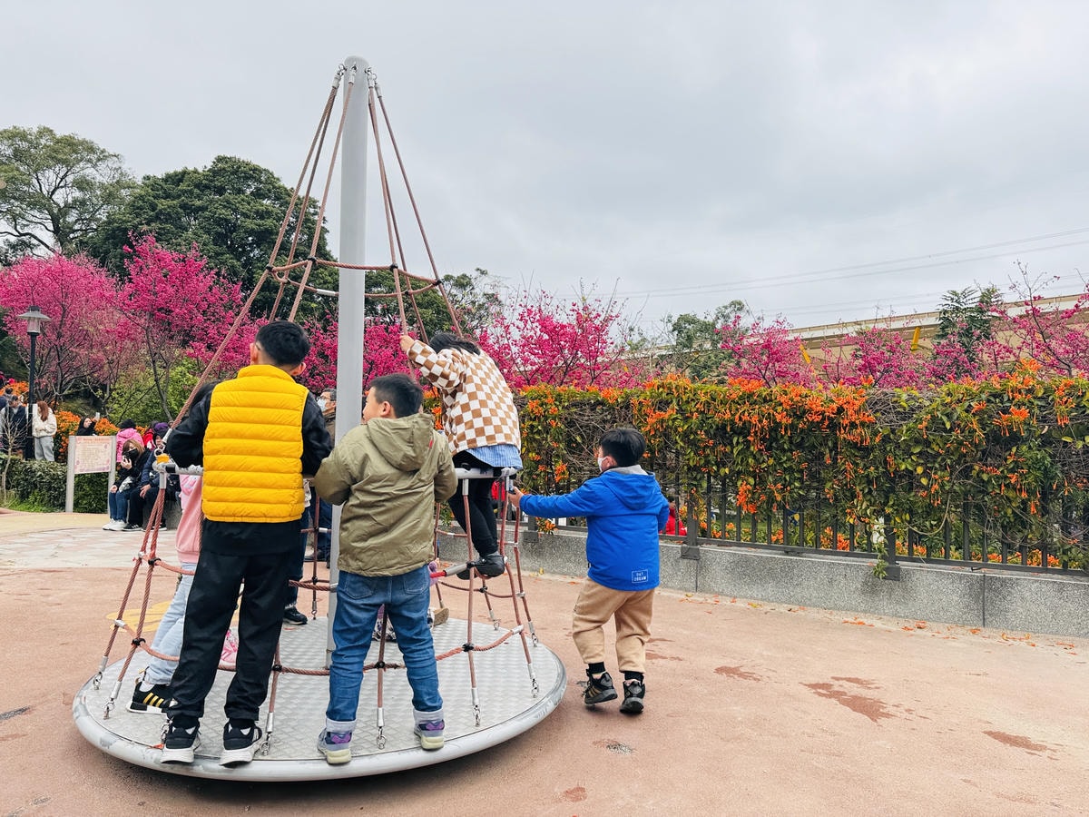 ★新北●鶯歌*最美拍的『鶯歌永吉公園』,擁有雙色櫻花、炮仗花 ★新北●鶯歌*最美拍的『鶯歌永吉公園』,擁有雙色櫻花、炮仗花