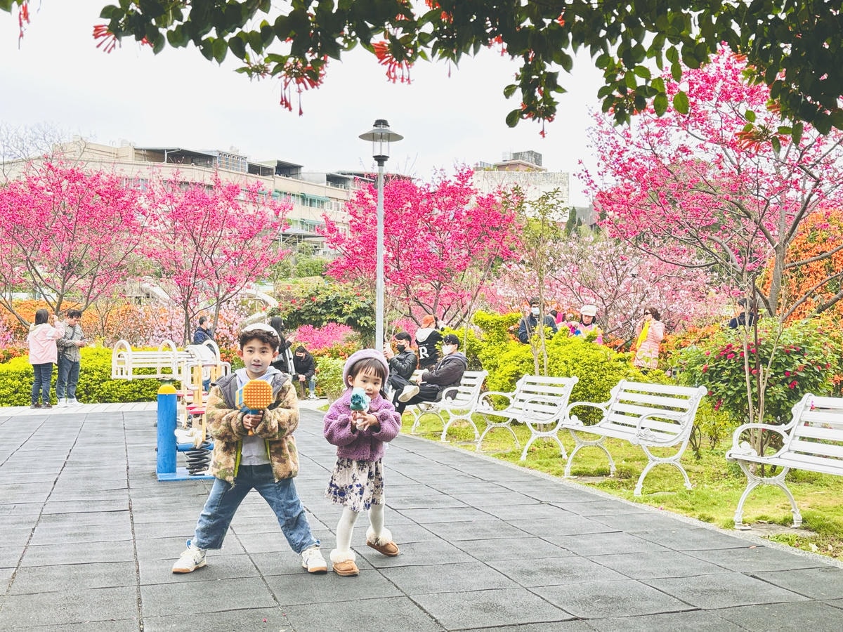 ★新北●鶯歌*最美拍的『鶯歌永吉公園』,擁有雙色櫻花、炮仗花 ★新北●鶯歌*最美拍的『鶯歌永吉公園』,擁有雙色櫻花、炮仗花