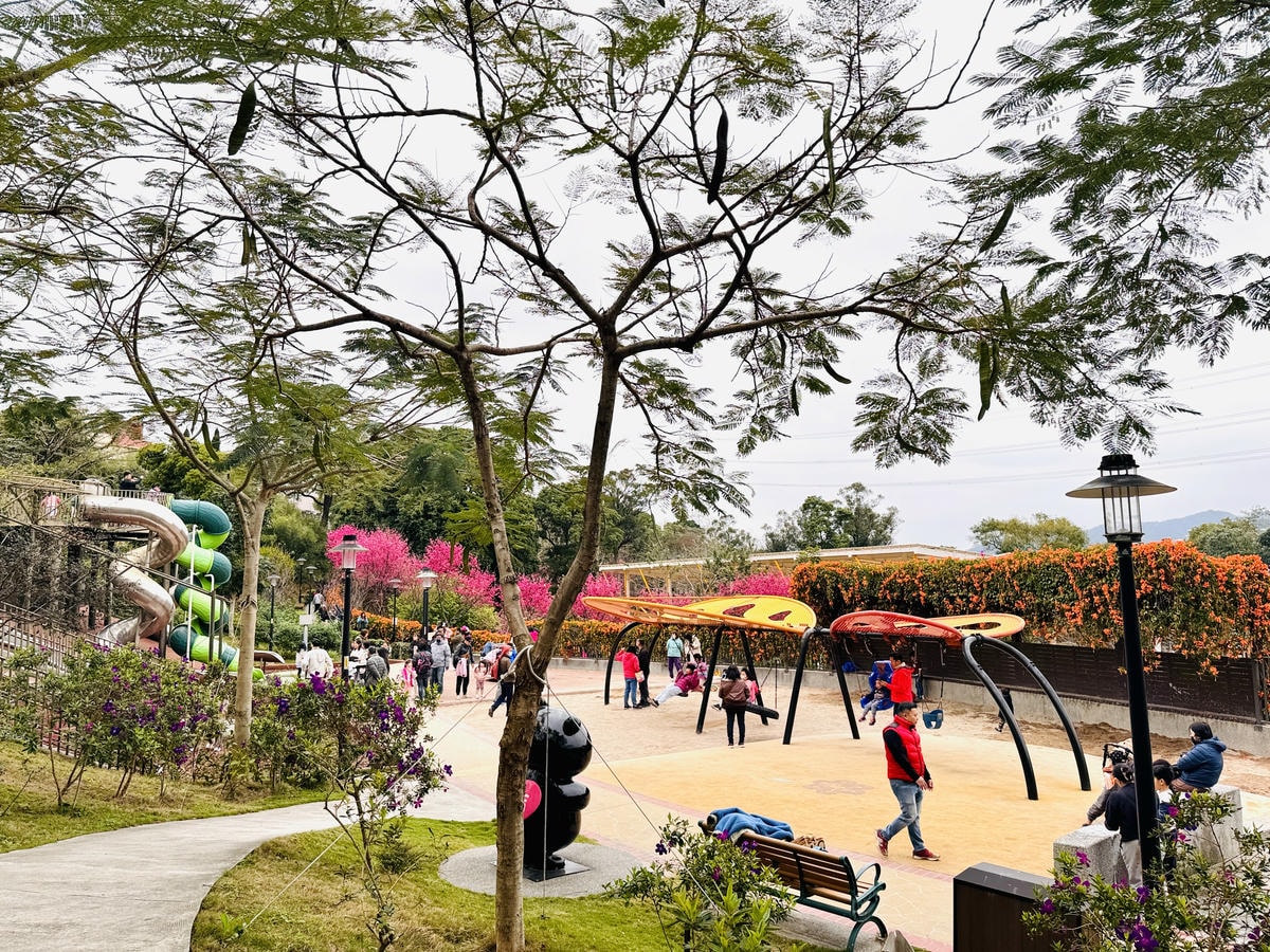 ★新北●鶯歌*最美拍的『鶯歌永吉公園』,擁有雙色櫻花、炮仗花 ★新北●鶯歌*最美拍的『鶯歌永吉公園』,擁有雙色櫻花、炮仗花