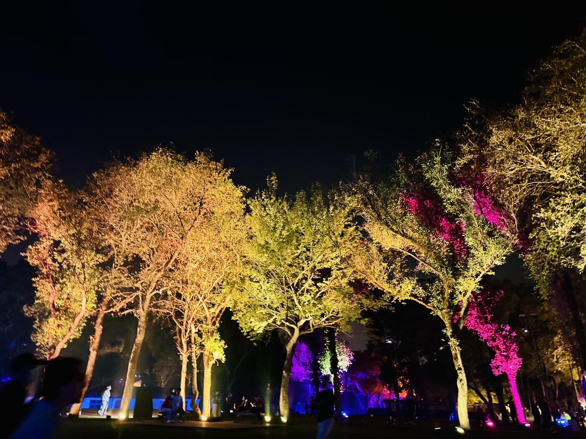 ★2024桃園燈會★『閃閃桃園 閃閃桃林』結合中西，穿越古今