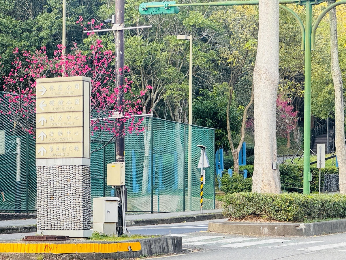 ★桃園●龜山*隱藏版賞櫻景點『長庚養生文化村』,超適合親子的 ★桃園●龜山*隱藏版賞櫻景點『長庚養生文化村』,超適合親子的