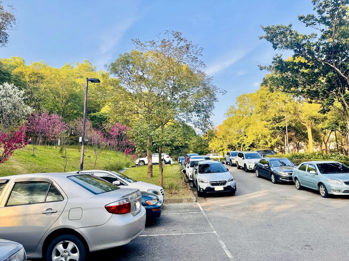 ★桃園●龜山*隱藏版賞櫻景點『長庚養生文化村』,超適合親子的 ★桃園●龜山*隱藏版賞櫻景點『長庚養生文化村』,超適合親子的