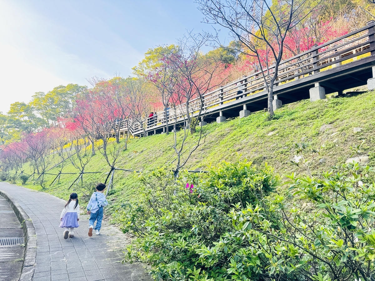 ★桃園●龜山*隱藏版賞櫻景點『長庚養生文化村』,超適合親子的 ★桃園●龜山*隱藏版賞櫻景點『長庚養生文化村』,超適合親子的