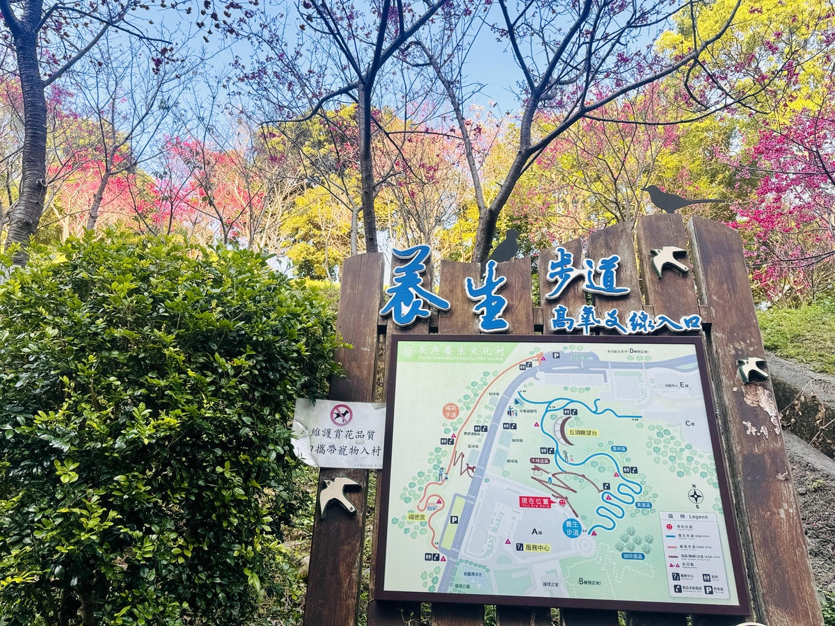 ★桃園●龜山*隱藏版賞櫻景點『長庚養生文化村』,超適合親子的 ★桃園●龜山*隱藏版賞櫻景點『長庚養生文化村』,超適合親子的