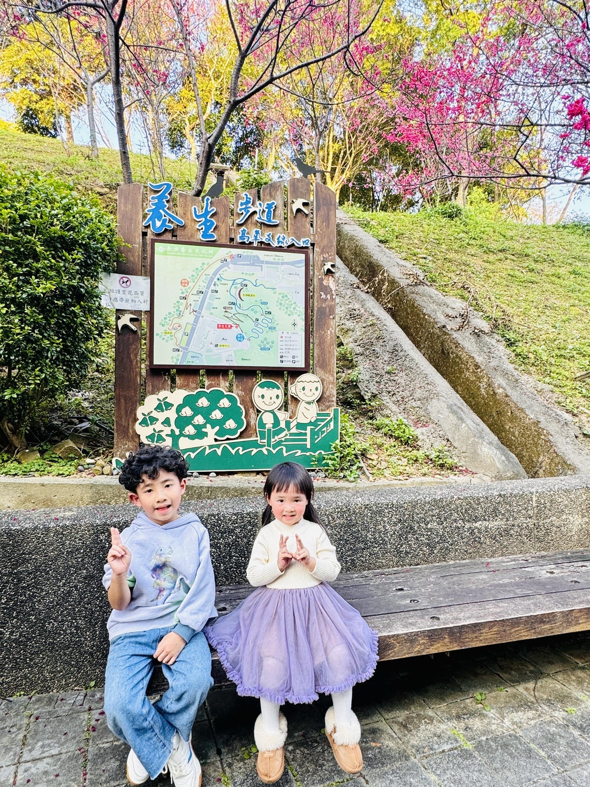 ★桃園●龜山＊隱藏版賞櫻景點『長庚養生文化村』，超適合親子的