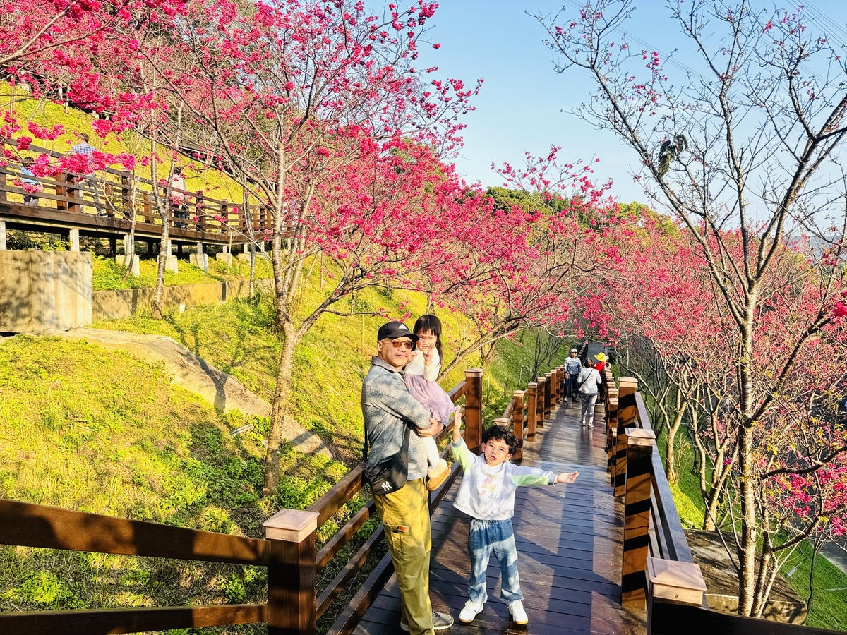 ★桃園●龜山*隱藏版賞櫻景點『長庚養生文化村』,超適合親子的 ★桃園●龜山*隱藏版賞櫻景點『長庚養生文化村』,超適合親子的