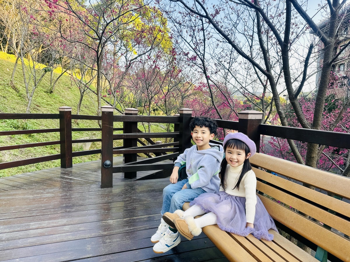★桃園●龜山*隱藏版賞櫻景點『長庚養生文化村』,超適合親子的 ★桃園●龜山*隱藏版賞櫻景點『長庚養生文化村』,超適合親子的