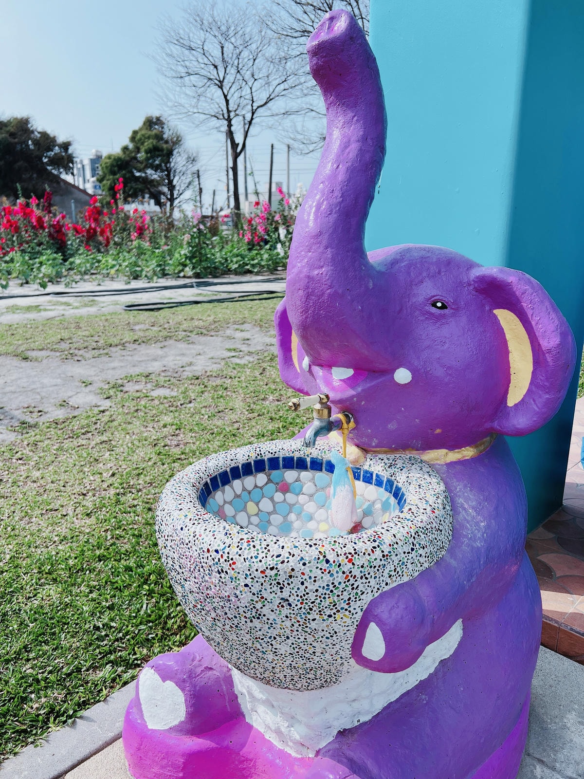 ★彰化●長頸鹿休閒農場*週末限定親子點,親子手搖船、電動車、 ★彰化●長頸鹿休閒農場*週末限定親子點,親子手搖船、電動車、