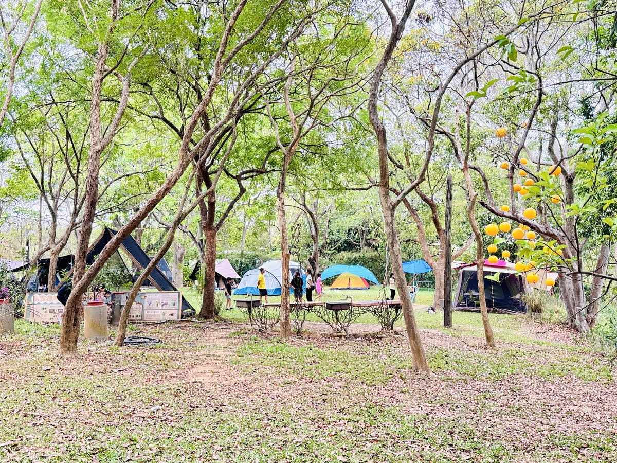 ★嘉義親子景點推薦★ ★嘉義親子景點推薦★