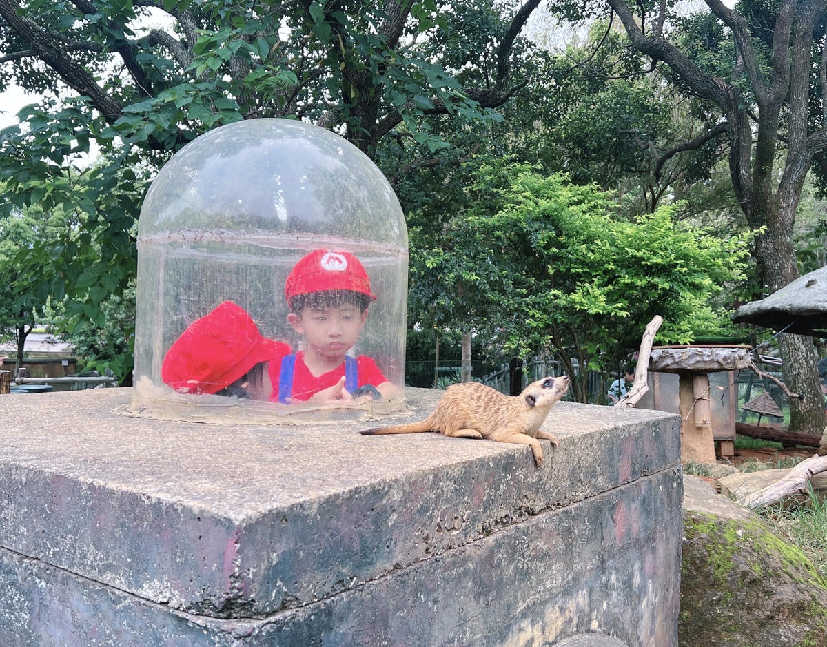 ★新竹●關西＊六福村主題遊樂園＊號稱台版環球影城，水陸都好玩