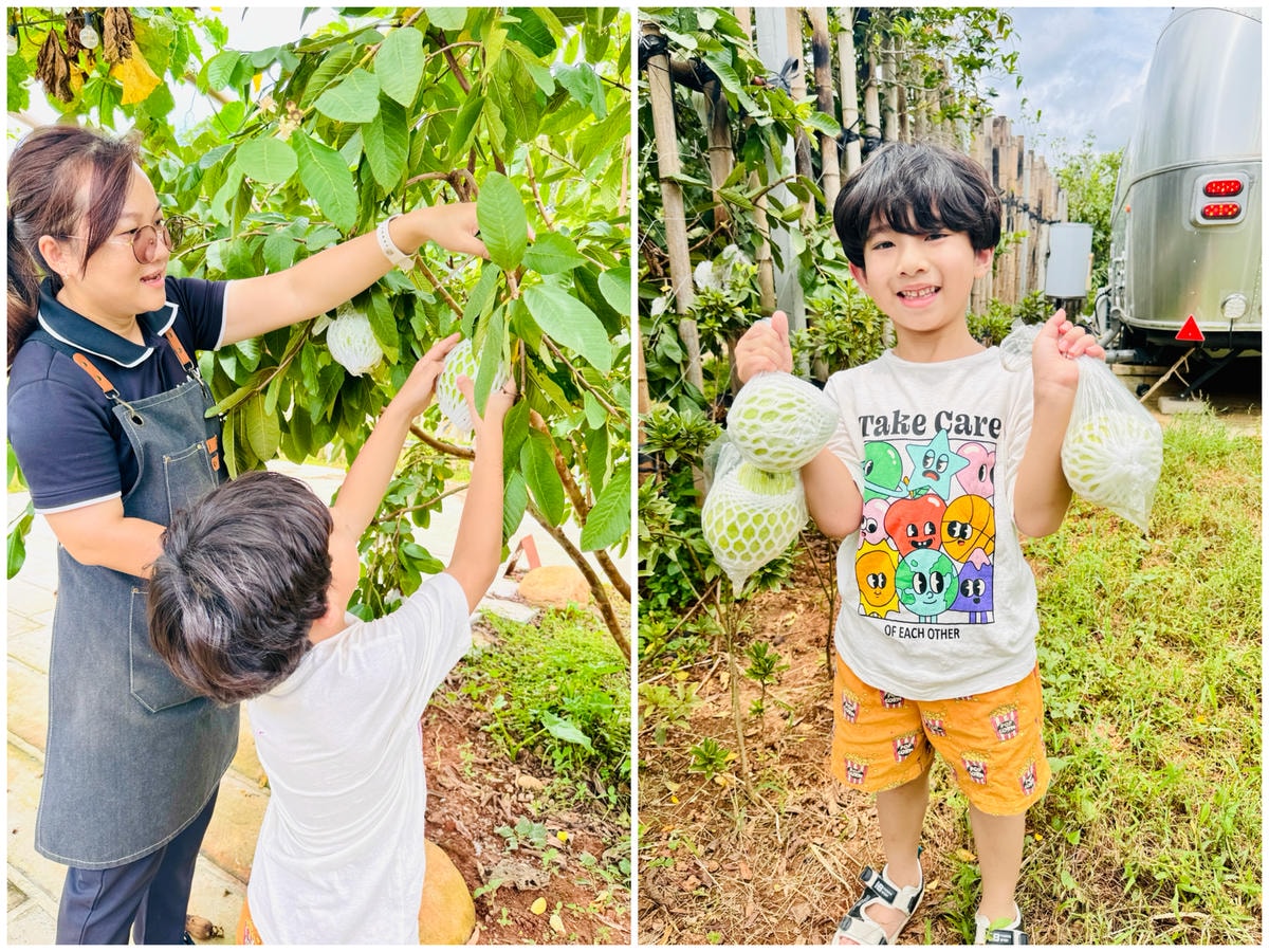★苗栗露營住宿推薦★『小巷清風』全台第一座全面採用AIRST ★苗栗露營住宿推薦★『小巷清風』全台第一座全面採用AIRST