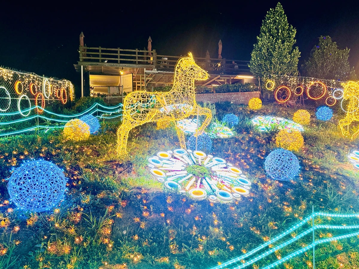 ★桃園景點推薦★2024年『蘆竹炫YA農遊季』絢麗登場,百萬 ★桃園景點推薦★2024年『蘆竹炫YA農遊季』絢麗登場,百萬