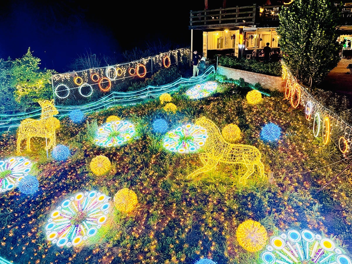 ★桃園景點推薦★2024年『蘆竹炫YA農遊季』絢麗登場,百萬 ★桃園景點推薦★2024年『蘆竹炫YA農遊季』絢麗登場,百萬