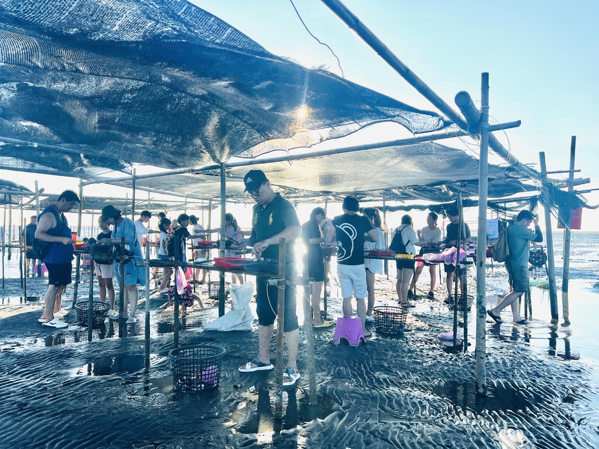 ★彰化●王功漁港*超好玩刺激的鐵牛車體驗,挖蛤烤蚵一次滿足大 ★彰化●王功漁港*超好玩刺激的鐵牛車體驗,挖蛤烤蚵一次滿足大