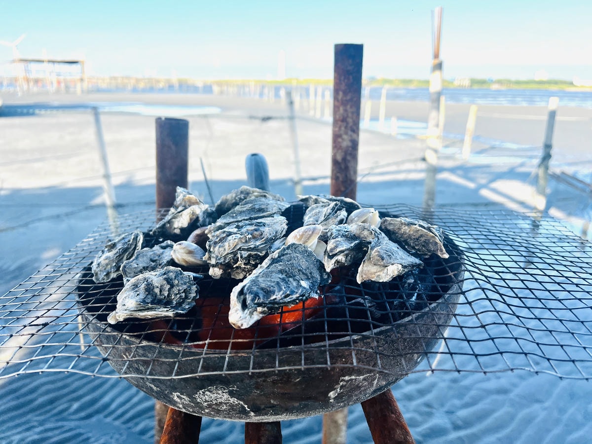 ★彰化●王功漁港*超好玩刺激的鐵牛車體驗,挖蛤烤蚵一次滿足大 ★彰化●王功漁港*超好玩刺激的鐵牛車體驗,挖蛤烤蚵一次滿足大