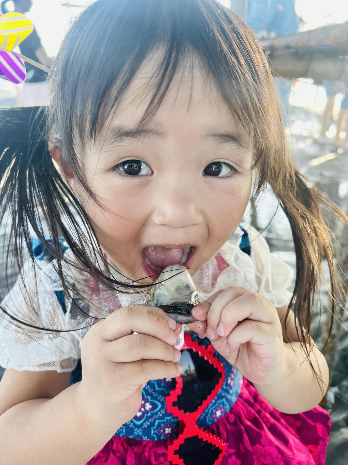 ★彰化●王功漁港*超好玩刺激的鐵牛車體驗,挖蛤烤蚵一次滿足大 ★彰化●王功漁港*超好玩刺激的鐵牛車體驗,挖蛤烤蚵一次滿足大