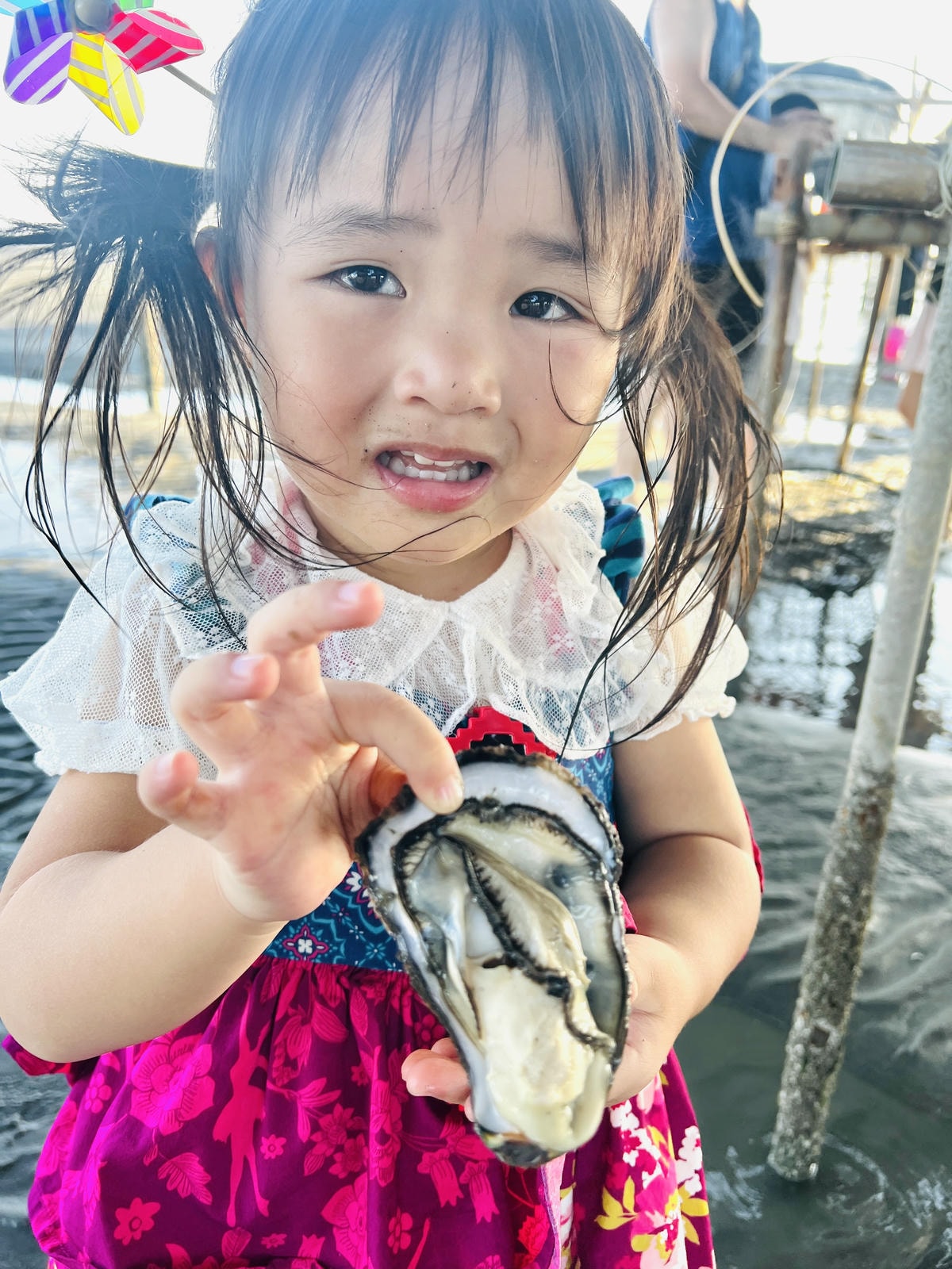 ★彰化●王功漁港*超好玩刺激的鐵牛車體驗,挖蛤烤蚵一次滿足大 ★彰化●王功漁港*超好玩刺激的鐵牛車體驗,挖蛤烤蚵一次滿足大