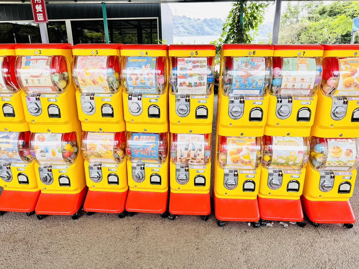 ★台中親子景點推薦★威爾森的農場，CP值超高的假日限定親子農