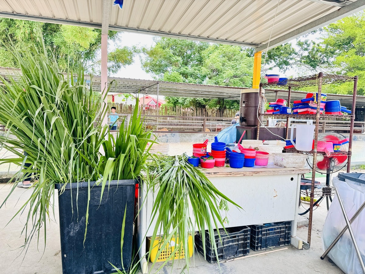 ★台中親子景點推薦★威爾森的農場，CP值超高的假日限定親子農