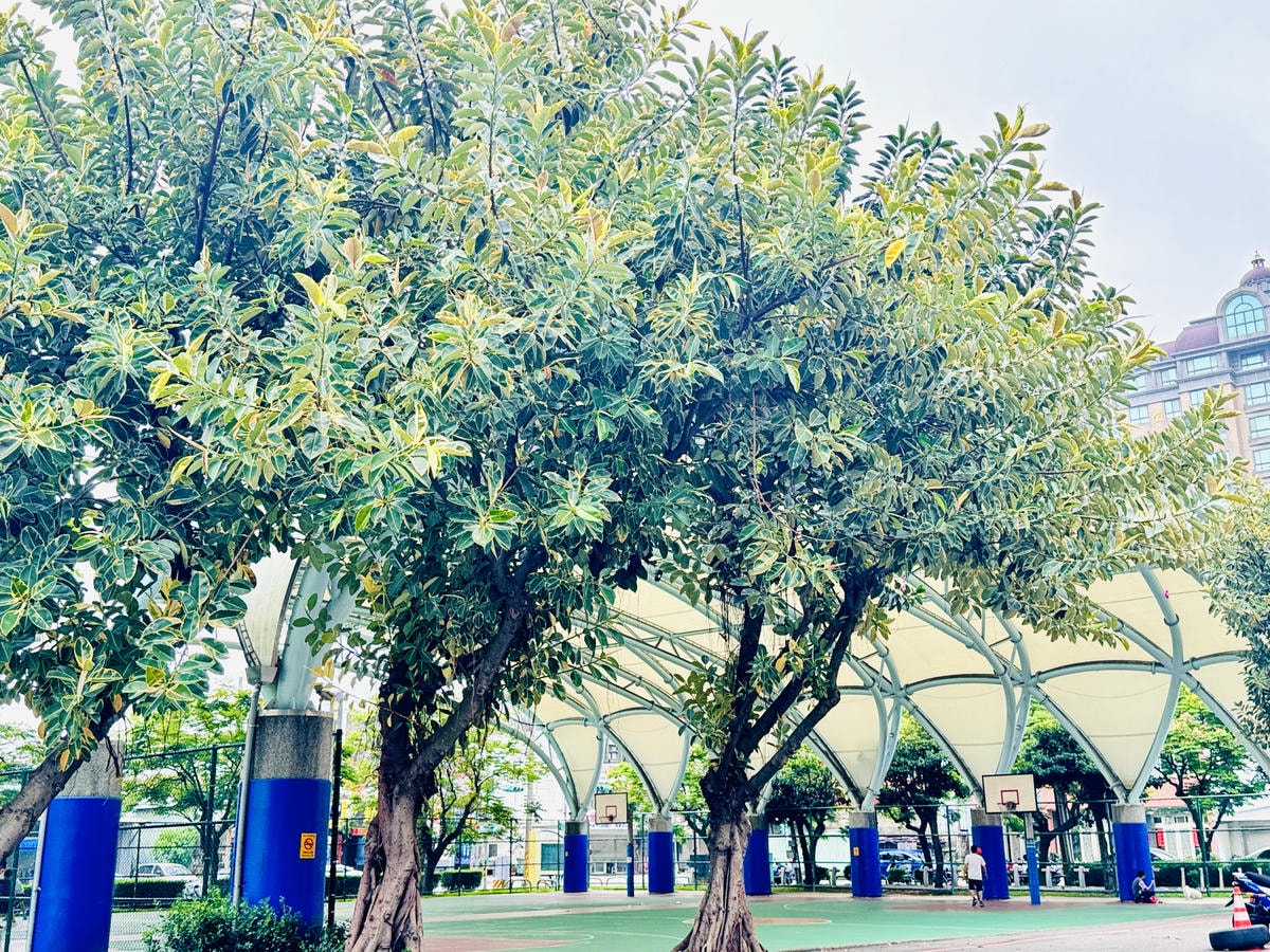 ★桃園親子景點推薦★中壢文化公園,小而巧的交通特色遊戲場, ★桃園親子景點推薦★中壢文化公園,小而巧的交通特色遊戲場,