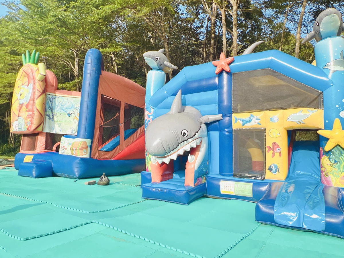 ★苗栗●三義*西湖渡假村*親子遊好去處,風景優美一站滿足大人 ★苗栗●三義*西湖渡假村*親子遊好去處,風景優美一站滿足大人