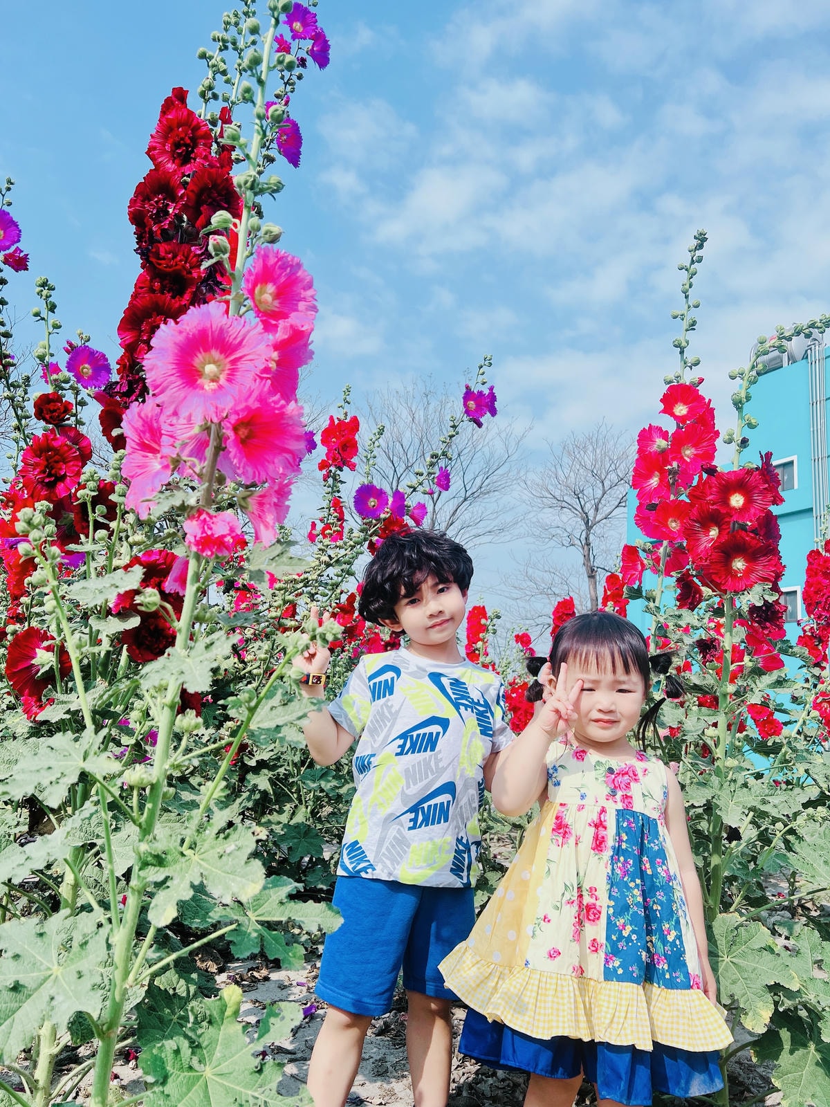 ★彰化●長頸鹿休閒農場*週末限定親子點,親子手搖船、電動車、 ★彰化●長頸鹿休閒農場*週末限定親子點,親子手搖船、電動車、