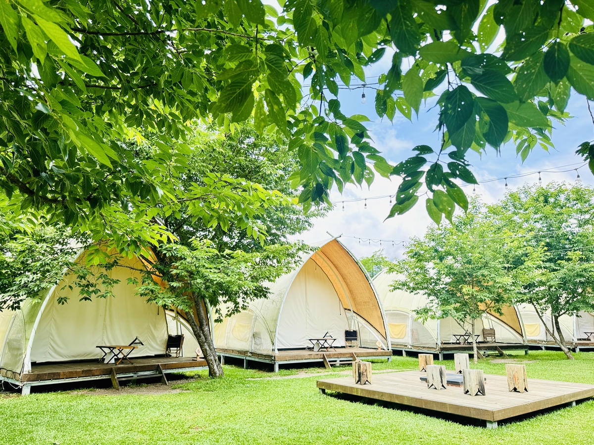 ★新竹露營住宿推薦★蟬說:霧繞,隱藏在雲霧中的療癒系豪華露營 ★新竹露營住宿推薦★蟬說:霧繞,隱藏在雲霧中的療癒系豪華露營