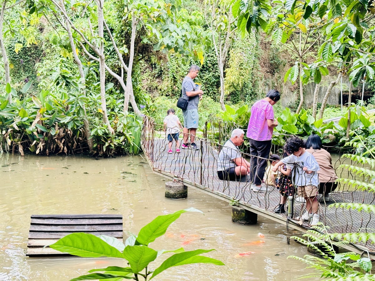 ★嘉義親子景點推薦★ ★嘉義親子景點推薦★