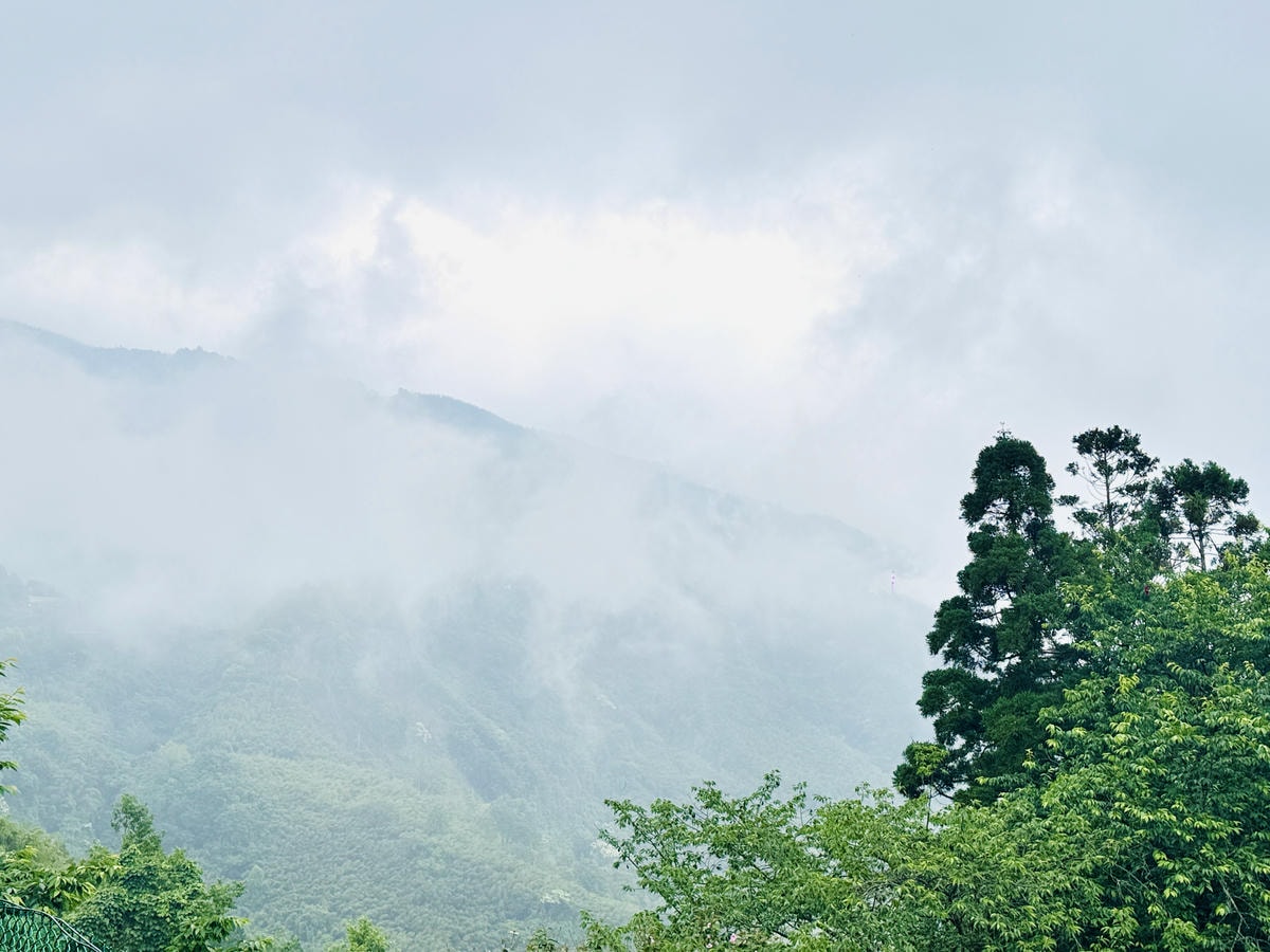 ★新竹露營住宿推薦★蟬說:霧繞,隱藏在雲霧中的療癒系豪華露營 ★新竹露營住宿推薦★蟬說:霧繞,隱藏在雲霧中的療癒系豪華露營