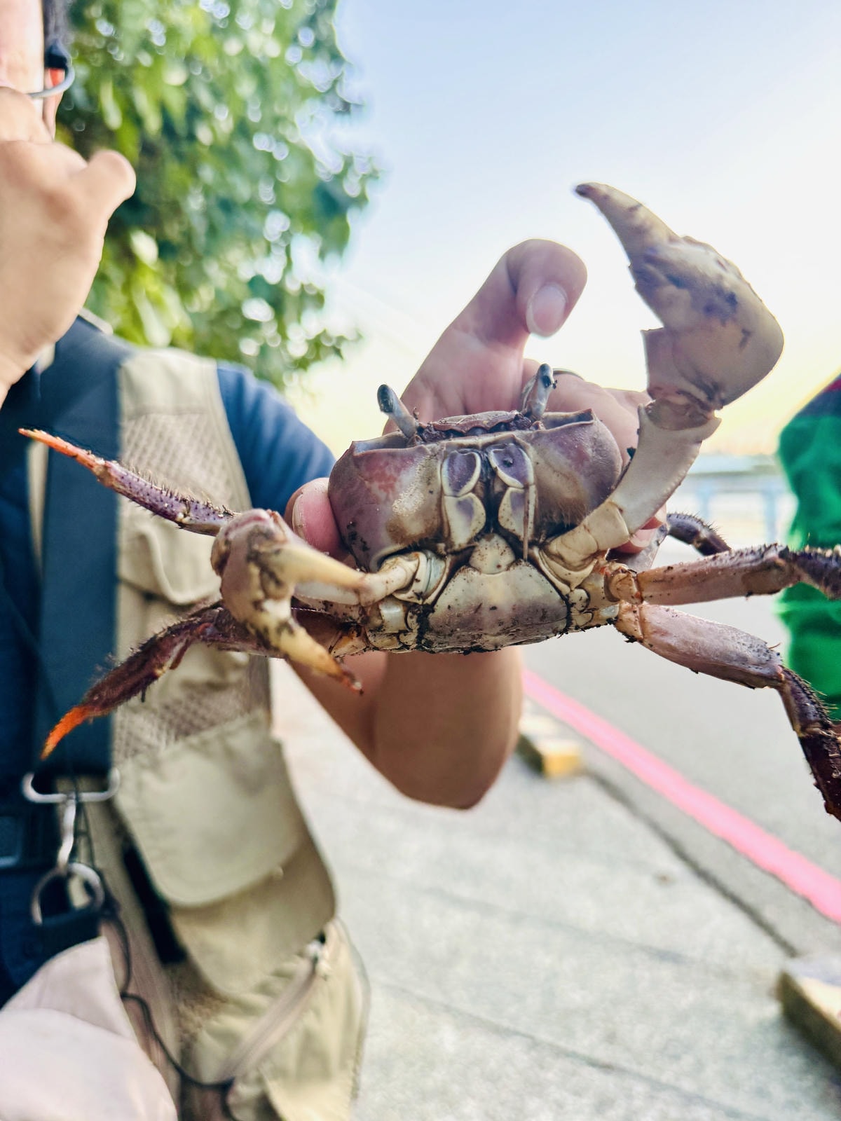 ★台中住宿●蟬說：夕陽漫漫＊擁有最美夕陽的高美濕地親子豪華露