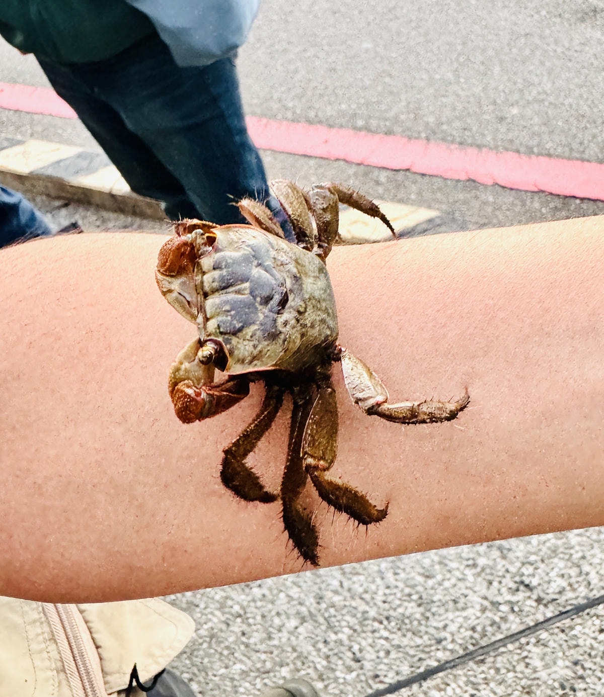 ★台中住宿●蟬說:夕陽漫漫*擁有最美夕陽的高美濕地親子豪華露 ★台中住宿●蟬說:夕陽漫漫*擁有最美夕陽的高美濕地親子豪華露